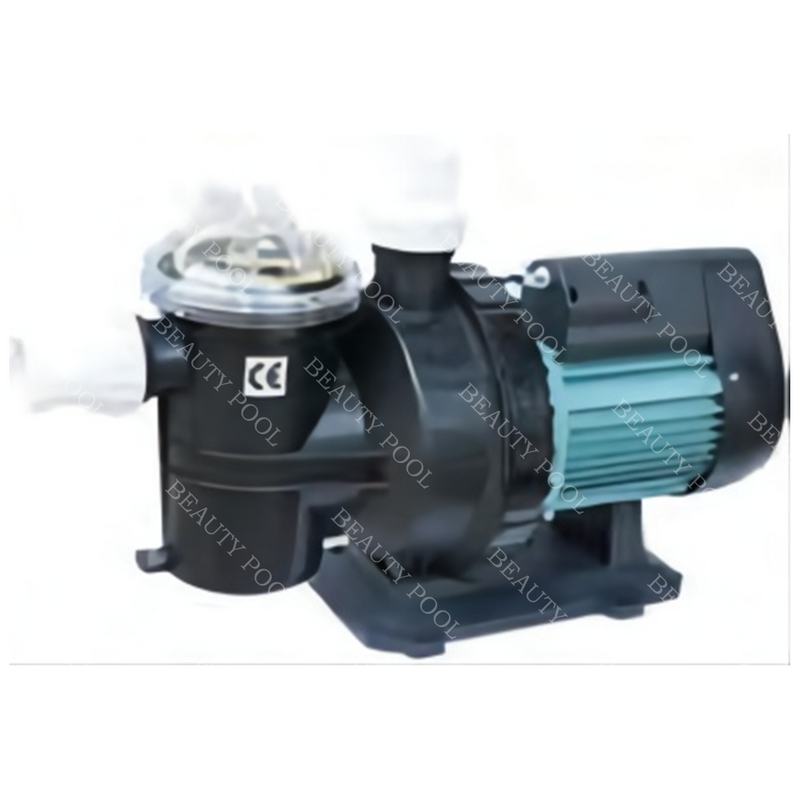 BPB-100 water pump